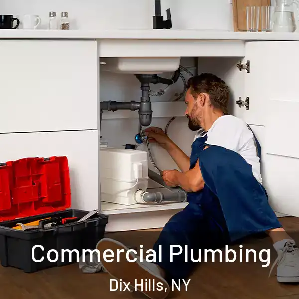  Commercial Plumbing Dix Hills, NY