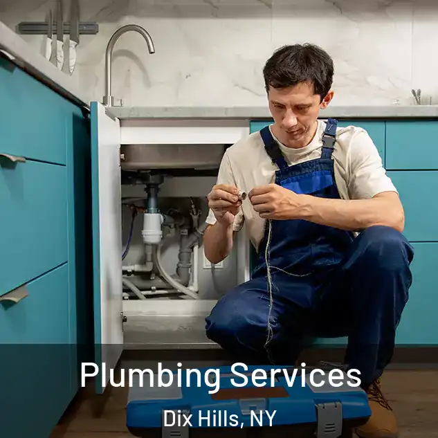 Plumbing Services Dix Hills, NY